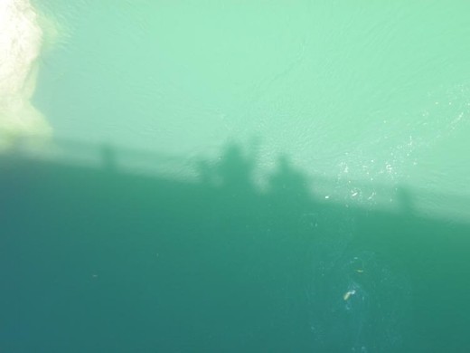 Anna is still waving at everything after the zip line ride. She's waving at our shadows here.