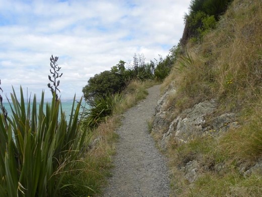 This is the trail as it winds down to little Monkey Bay.