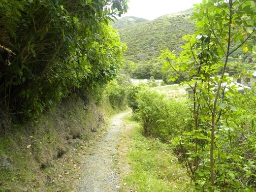 Another trail to follow. We didn't do the whole 6 km.