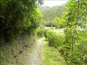 Another trail to follow. We didn't do the whole 6 km.: by taylortreks, Views[352]