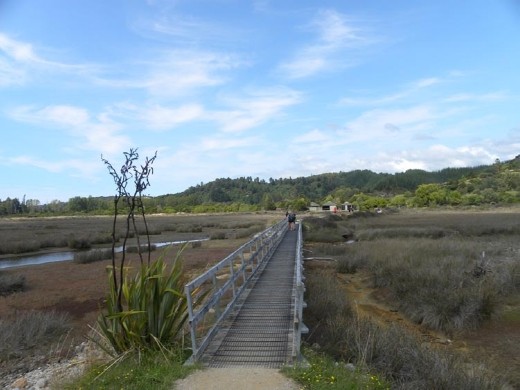 Looking toward the visitor's kiosk.
