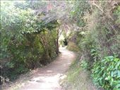 Ahhhhh! The nice trail. We have to admit that the Department of Conservation in NZ did a FANTASTIC job of maintaining trails all over the country.: by taylortreks, Views[162]