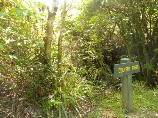 Since there was bench handy for Anna, Kent made a quick visit to Culvert Creek.