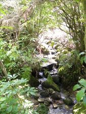 Culvert Creek makes its way to the sea.: by taylortreks, Views[221]