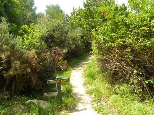 Supposedly there's a beach through here...