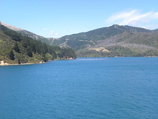 It's a bright blue sky and sea as we leave Picton Harbour.