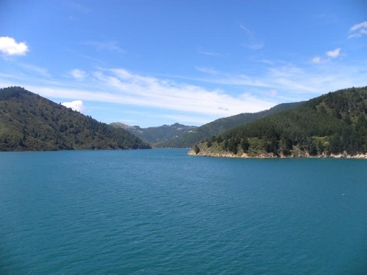 The Sounds look their best in sunshine!