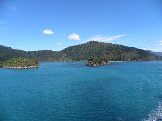 Maybe next time we can spend more time on the water in these sounds. If only we had our own boat... and someone who knew how to operate it!