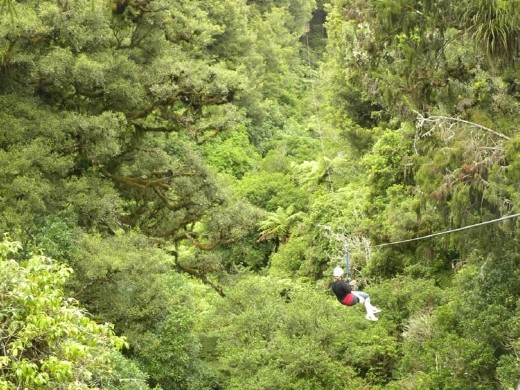 This is the longest zip on the tour: 220 meters (nearly a third of a mile).