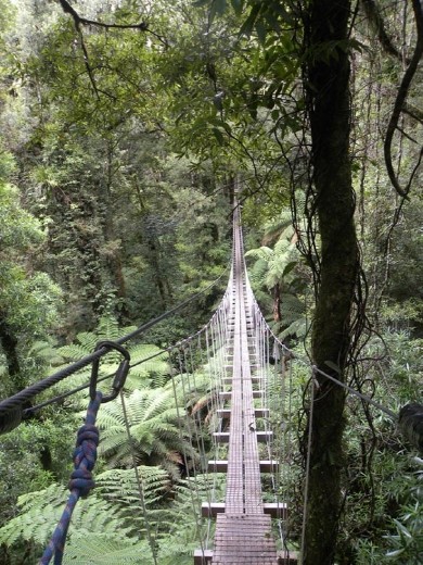This swing bridge is 50 meters long. And bouncy!