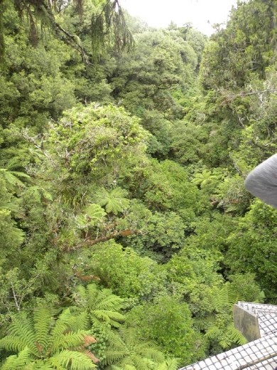 It was a LONG way down from the tallest platform. It's 44 meters down there...