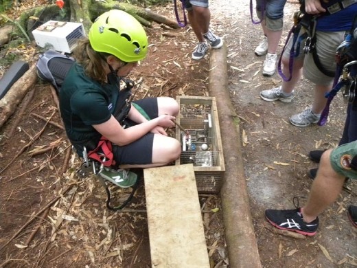 In addition to providing some darn good fun, the Rotorua Canopy Tour does a lot of conservation work in the Dansey Reserve. Anna is showing us how a possum trap works. The possum is one of the most destructive non-native species brought to NZ. It has almost wiped out kiwi birds in many parts of NZ. The possum is only one of many species introduced to NZ that are wiping out the native fauna and flora. Ya' gotta be careful what you bring to an island!