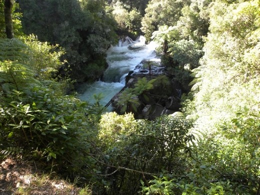 The Okere Falls are short, but powerful.
