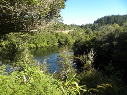 The placid Trout Pool lies below the series of falls. Hard to believe.