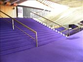 Yeah, that's not an image from the camera. The west lobby's carpet is quite purple!: by taylortreks, Views[214]