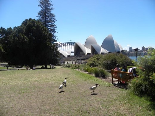 The view from the nearby Royal Botanic Gardens. It was a lovely day for a stroll!