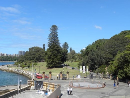 A view of the Royal Botanic Gardens from the back steps of the Opera House.