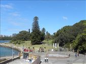 A view of the Royal Botanic Gardens from the back steps of the Opera House.: by taylortreks, Views[180]