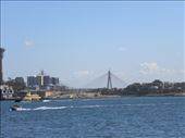 The view from the water taxi also gave us a view of the ANZAC Bridge.: by taylortreks, Views[211]
