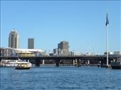 We walked across Pyrmont Bridge the day before as we explored Darling Harbour.: by taylortreks, Views[245]