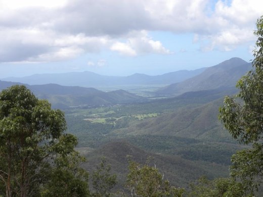 And this is what we came for! The panoramic views are of the Wooroonooran National Park.