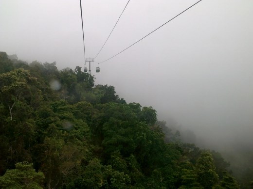 It was an overcast day and it didn't take long until we were 