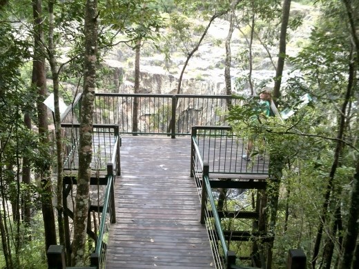 Anna is hiding on the side, checking out the trees at the Barron Falls lookout.