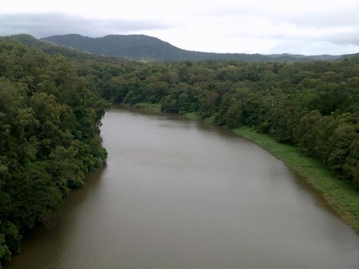 The Barron River was pretty full, this is why the Barron Falls were looking good!