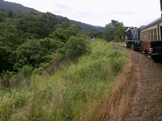 There are more than 90 curves on the trip. We like those, so you can see the front of the train...