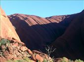 Cracks are evident in the rock above the Mutittjulu Waterhole, near the Kuniya carpark.: by taylortreks, Views[372]
