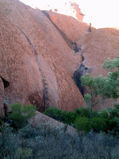 The black lines clearly show where the water runs down the sides of Uluru.