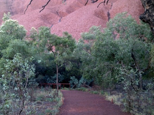 At 8am, the walk is shaded on this side of Uluru. It was distinctly pleasant!