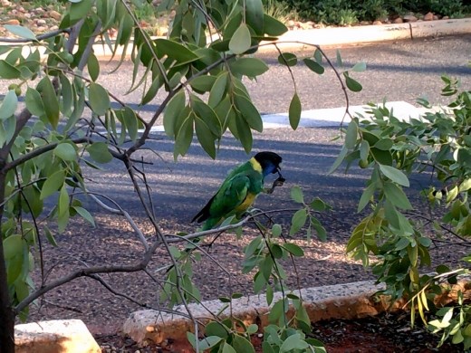 Yum! He's definitely enjoying his snack.