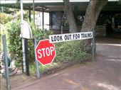 Woo-woo! We're HOPING to watch out for trains!: by taylortreks, Views[205]