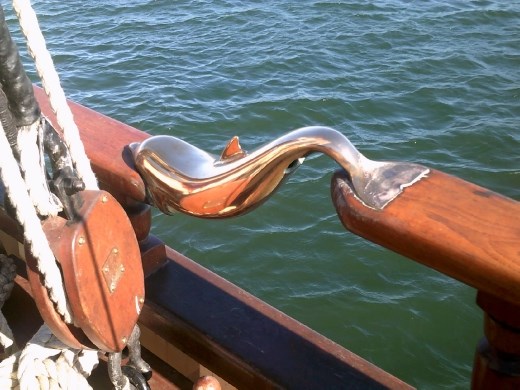 The dolphins join the ship on every sailing. These are the most gorgeous handrails we've ever seen!