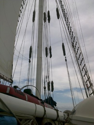 Baggy wrinkles are attached to the rigging lines and prevents the sails from chafing on the rigging. Very clever! Of course, Anna just called them 