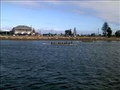 There were a couple of crews out for their Saturday morning workout.: by taylortreks, Views[204]