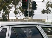 And a funny sight on our way home! : by taylortreks, Views[280]