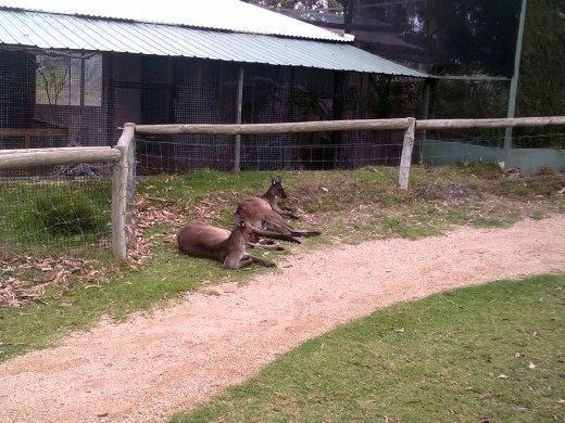 Here are a couple more...