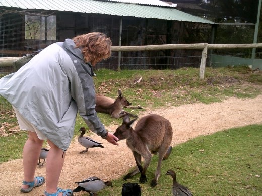 As a matter of fact, we do have food!