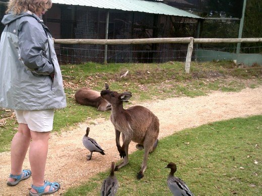 Was that it?! Surely you have more than that!