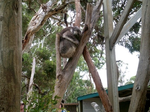 That just CAN'T be comfortable!