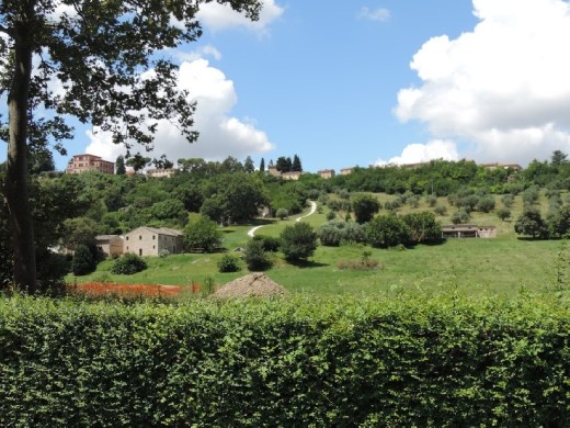 Looking up to the pretty hilltop town of Urbisaglia. Gorgeously sunny day!