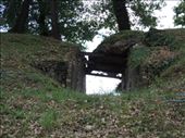 Although the original amphitheater was mostly intact, structural support was needed in places.: by taylortreks, Views[280]
