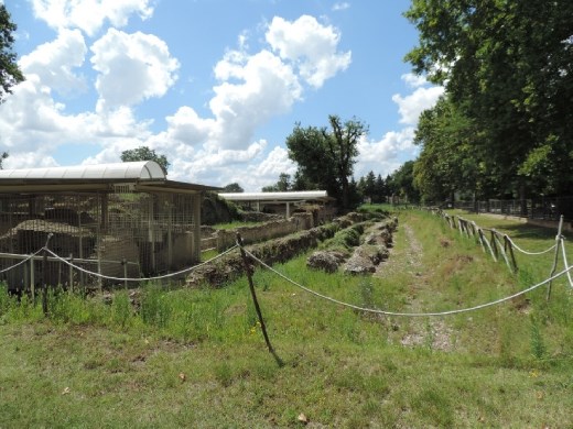 The next field over from the amphitheater, they've been doing some archeological excavations. They've found some interesting stuff!