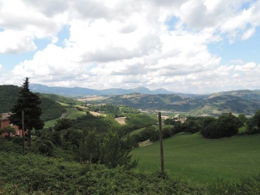 The roads wound and wound off the other end of the park. There was a feast for the eyes around every curve!!