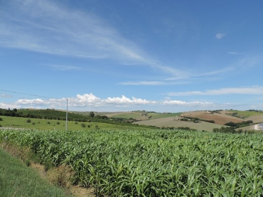 The rolling hills and the wineries around Jesi (sometimes spelled Iesi), reminded us a bit of Tuscany.
