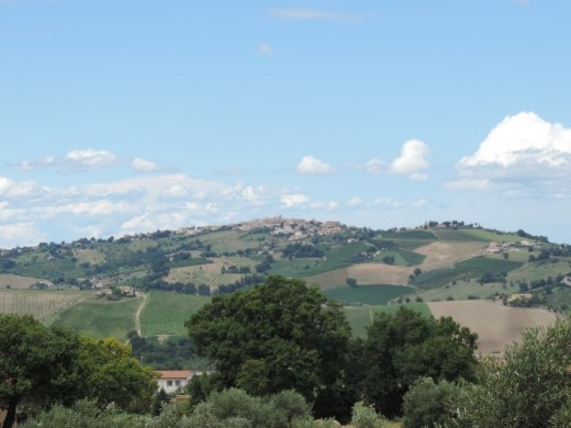 The hills were a patchwork of green and brown, where were set off against the brilliant blue sky.