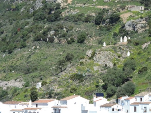 Here's a closer view of the shrines that were over Anna's shoulder.