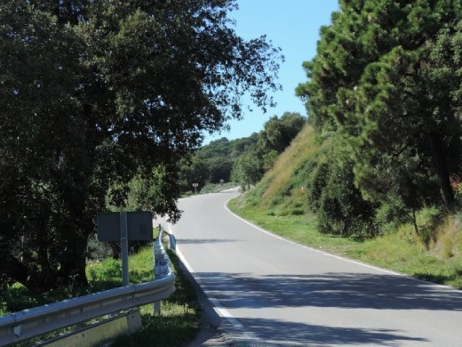 The road less traveled took us back down to the coast and our way home. Our first real outing was a success!